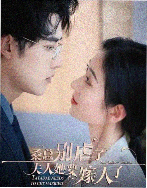 醉拳影视现实剧情题材图鉴配图